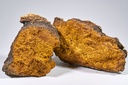 Wild Chaga Extract - Inonotus obliquus / Schiefe