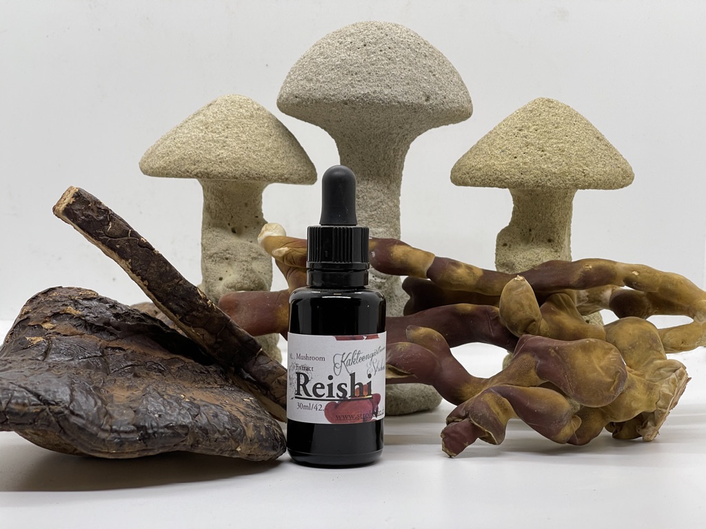 [REI-ES] Reishi 1:1 Essence (Ganoderma lucidum)